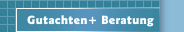 Gutachten+ Beratung